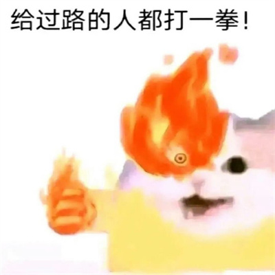 新版快乐特色表情很搞怪又快乐 大小姐嫁到统统闪开