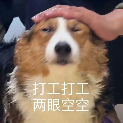 可可爱爱又爆美的幽默表情 搞怪超萌的系列表情2024新版合集