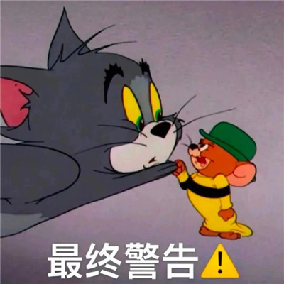 可可爱爱又爆美的幽默表情 搞怪超萌的系列表情2024新版合集