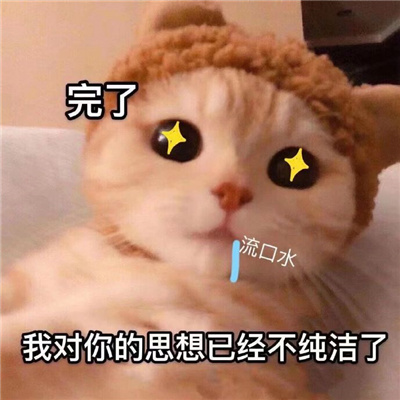 2024常用的斗图表情 很火很可爱的表情热门合集