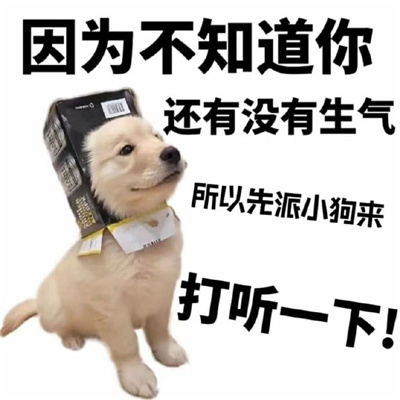 2024常用的斗图表情 很火很可爱的表情热门合集