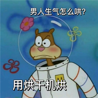 2024常用的斗图表情 很火很可爱的表情热门合集