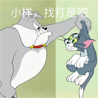 2024常用的斗图表情 很火很可爱的表情热门合集