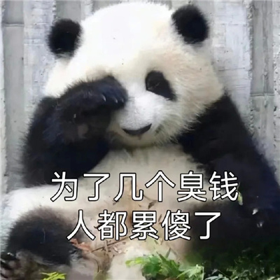 表情包日常沙雕好玩有很火 很赞又出众的表情大全