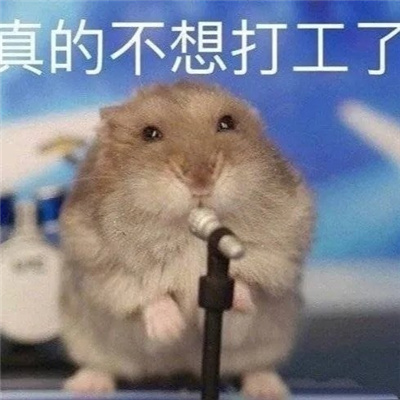 冷门爆笑表情必存图 怎么泡男孩子啊水温多少适合啊