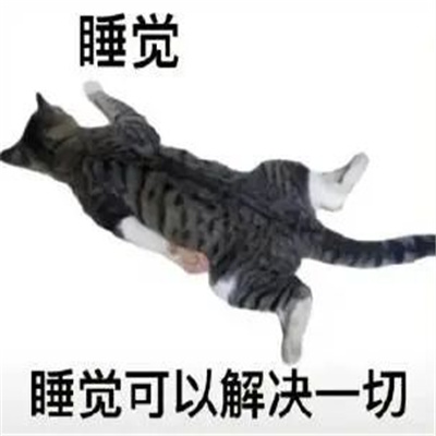 热门好笑又有梗的表情 每张都是很快乐的聊天表情