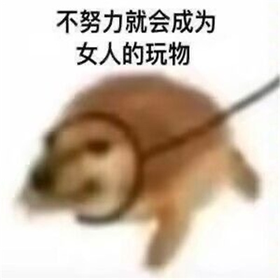 沙雕表情搞怪且很有特色 会笑到晕的表情大全