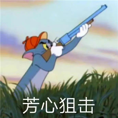 最近的网络热梗表情2024 很流行又很火的表情大全