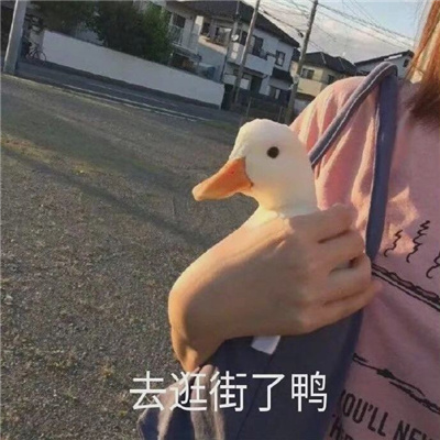 最近的网络热梗表情2024 很流行又很火的表情大全