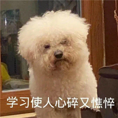 有大病的表情可爱满满 每张都值得存图的好用表情