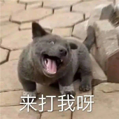 有大病的表情可爱满满 每张都值得存图的好用表情