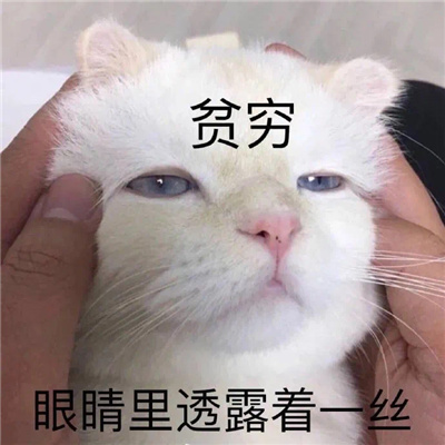 有大病的表情可爱满满 每张都值得存图的好用表情