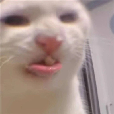 逗比又搞怪的表情最新 无水印聊天超开心的表情大全