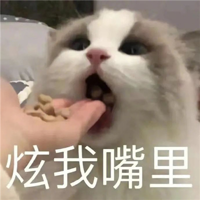 每张用来聊天都很快乐的表情 鹅躺平了