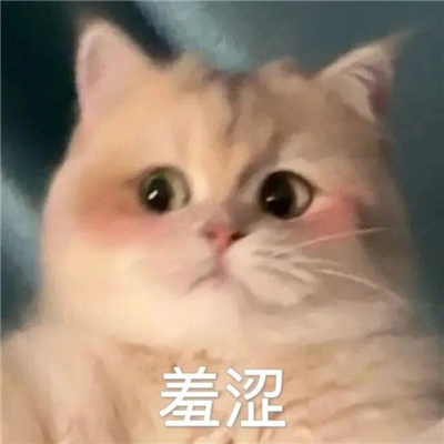 很夸张的表情很好用 又有新的表情包可以用了