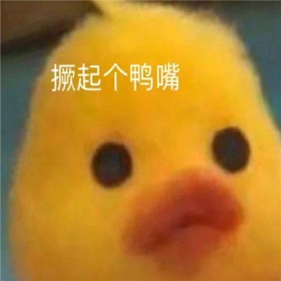 用来聊天会很轻松的表情 活跃氛围的表情合集