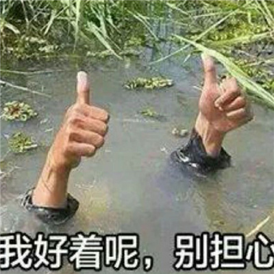 用来聊天会很轻松的表情 活跃氛围的表情合集