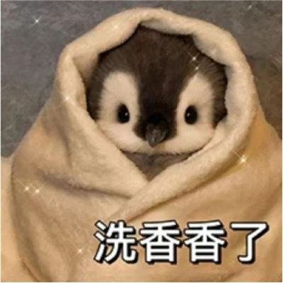 用来聊天会很轻松的表情 活跃氛围的表情合集