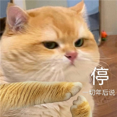 2024过年专用要红包的表情包 静待有缘人发红包