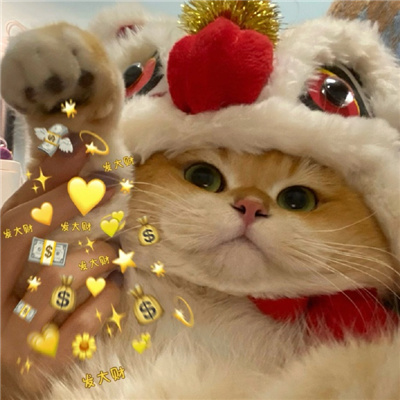 2024过年专用要红包的表情包 静待有缘人发红包