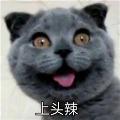 磕cp超好用的搞怪表情合集 cp女孩专用表情包来啦