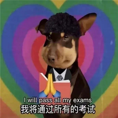 有意思的表情张张让人爆笑 很过分必须拍下来