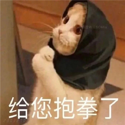 显眼包快乐源泉微信好用表情包 一定要存图的快乐源泉表情