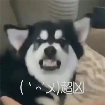 显眼包快乐源泉微信好用表情包 一定要存图的快乐源泉表情