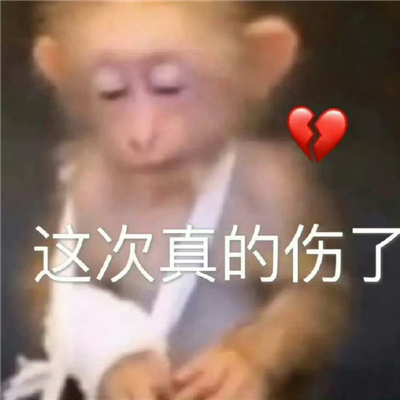 超幽默超风趣的恶搞表情合集 笑死人趣味的表情大全