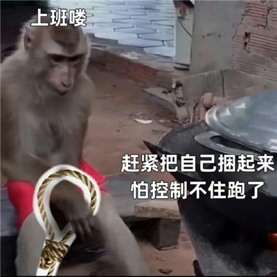 纯享版吗喽表情包 咻咻咻别惹癫猴