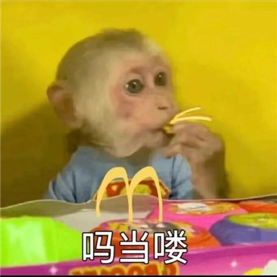 纯享版吗喽表情包 咻咻咻别惹癫猴