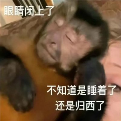 纯享版吗喽表情包 咻咻咻别惹癫猴