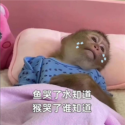 纯享版吗喽表情包 咻咻咻别惹癫猴