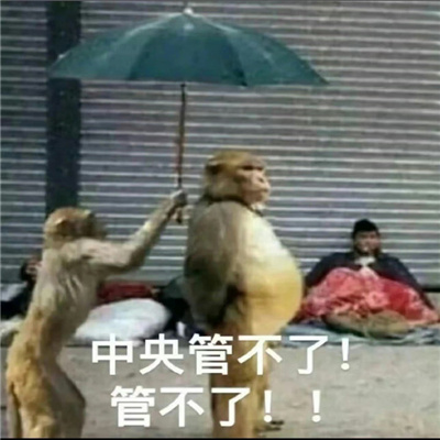 纯享版吗喽表情包 咻咻咻别惹癫猴