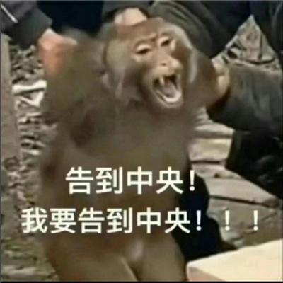 纯享版吗喽表情包 咻咻咻别惹癫猴