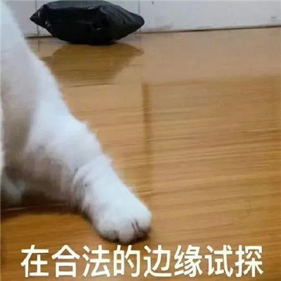 很荒谬的表情超有特色 搞怪又很好用的表情好玩