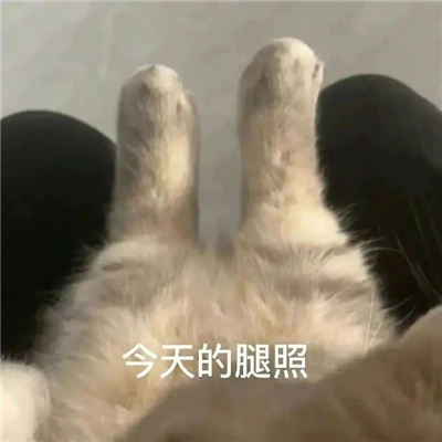 很荒谬的表情超有特色 搞怪又很好用的表情好玩