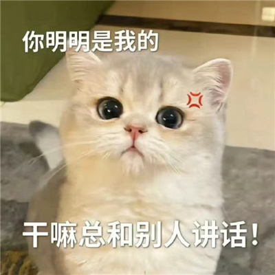 独特又超好笑的表情 你明明是我的干嘛总和别人讲话