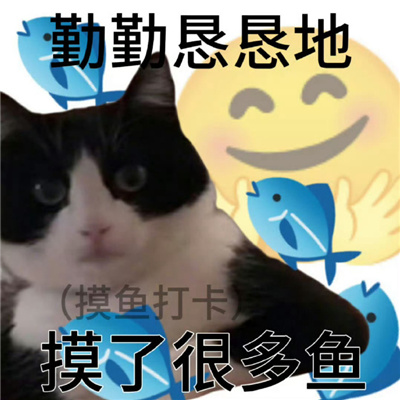 前后反差事与愿违表情包 小心翼翼闯了很多祸