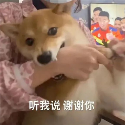 水平超高系列的表情合集 我有超多的表情包噢