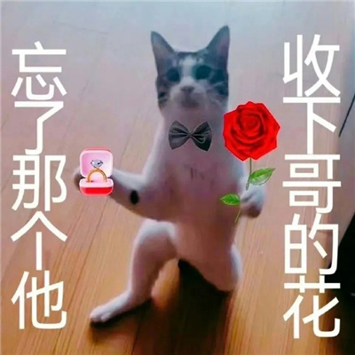 水平超高系列的表情合集 我有超多的表情包噢