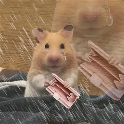 张张好用又很快乐的表情 你觉得你很幽默吗