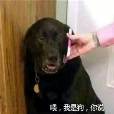 搞怪版的特色表情大全 对我有欲望也是人之常情