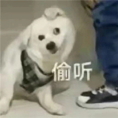 新鲜出炉的很棒又有趣的表情 你也就嘴巴最忙