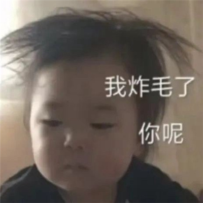 2024让你憋不住笑的表情 笑翻了的特色表情