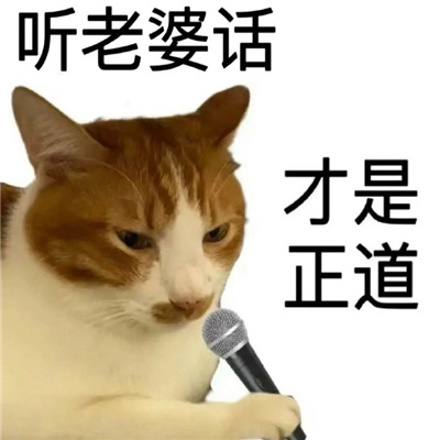 抖音最火表情包很快乐合集 世界能不能给我道个歉