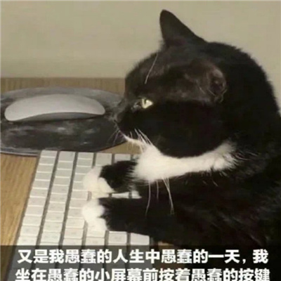 抖音最火表情包很快乐合集 世界能不能给我道个歉