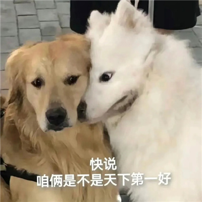 情侣间必备的撒娇卖萌爱意满满的表情 哥哥我们要在一起很久很久