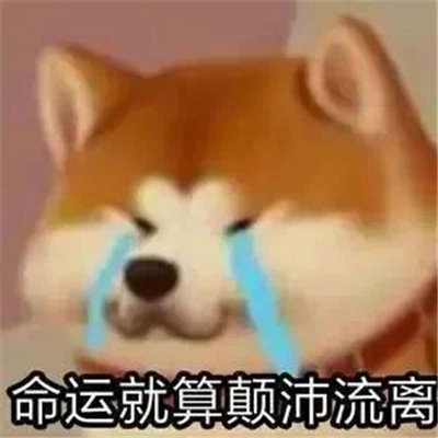 互联网冲浪的表情幽默 很有风趣的好笑表情大全