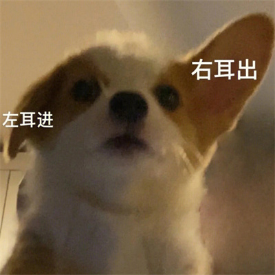 好笑又出众的表情大全 所以表情包永远存不够